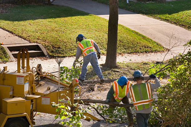 Best Arborist Consultation Services  in Lake Bryan, TX